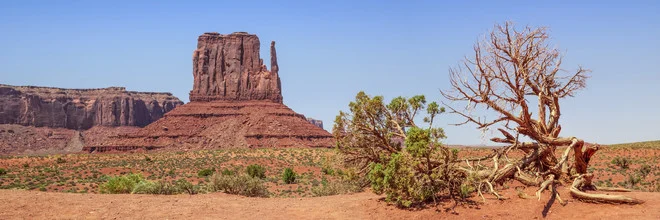 Photo art by Melanie Viola: vast landscape featuring Sentinel Mesa and Butte in Monument Valley