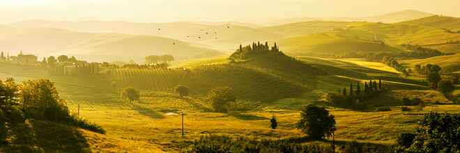 Jean Claude Castor, Tuscany - Podere Belvedère II