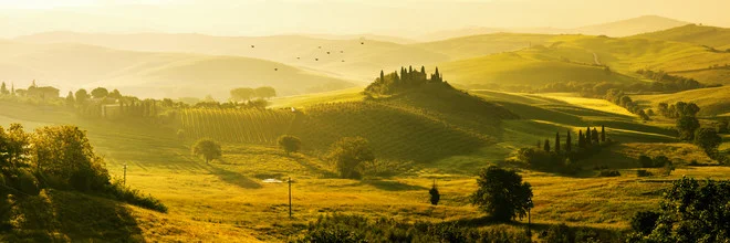 Tuscany - Podere Belvedère II - Fineart photography by Jean Claude Castor