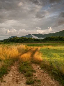 Photo art by Zoran Radaković: soft colors of a sunrise over nature