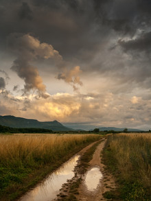 Zoran Radaković, After rain (Croatia, Europe)