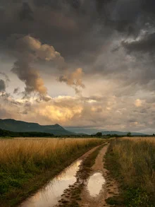 Fotokunst von Zoran Radaković: sanfte Wiesenlandschaft nach dem Regen