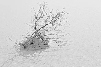 Photo art by Volker Benksch: abstract depiction of cold and contrast in black and white.