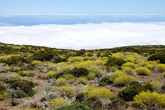 Photo art by Eberhard Vogler: Teide on Tenerife with soft clouds