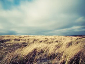 gusty - fotokunst von Kay Block