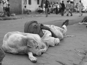 Man sleeping on the street with a pillow under his head, dog nearby.