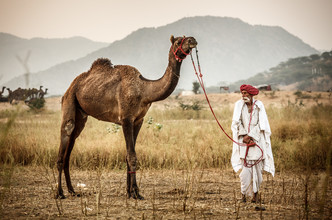 Jens Benninghofen, At the Camel Fair (Indien, Asien)