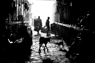 Wall art: Man in dark alley with dog, gentle light and shadows.