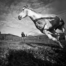 Photo art by Raffaella Castagnoli: natural horseman with cowboy and lasso