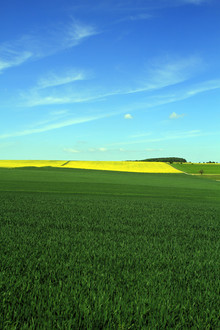 Jens Berger, yellow (Germany, Europe)