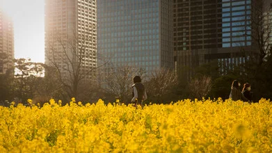 Photo art by Manuel Kürschner: Woman enjoys a sunny afternoon in Tokyo.