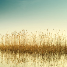 Holger Nimtz, Müggelsee (Deutschland, Europa)