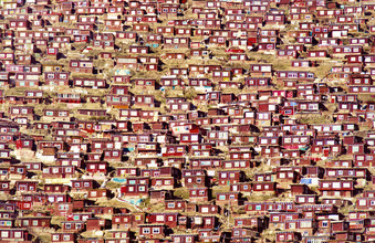Victoria Knobloch, Individuality