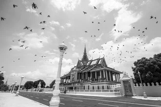 Photo art by Renee Del Missier: Birds flying over the Royal Palace building in Cambodia