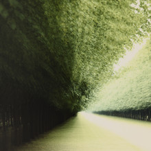 Nadja Jacke, Avenue - Herrenhauser Gardes Hanover