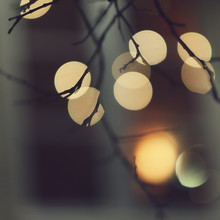 Nadja Jacke, Winterlichter