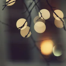 Photo art featuring branches and lights, creating a warm, nighttime atmosphere.