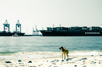 Gabriele Spörl, Dog in Hamburg