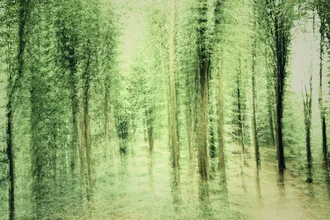 Blurred forest by Nadja Jacke: gentle green tones in nature