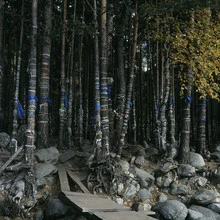 Photo art by Axel Harries: mystical woods with a gentle light atmosphere