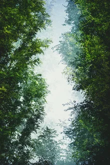 Photo art by Nadja Jacke: double exposure of green trees against a blue sky