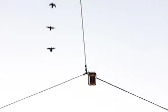 Photo art by Markus Green: Three birds on a blue wire in an urban setting.