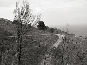 Silva Wischeropp, Monte Cofano - Verlassener Landstrich - Sizilien (Italien, Europa)