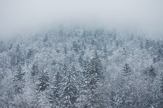 Dia Takacsova, Slovenian Winter - Slowenien, Europa)