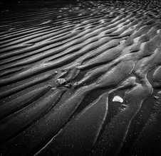 Markus Van Hauten, Ripples