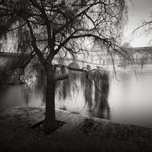 Ronny Behnert, Palais Royal - Frankreich, Europa)