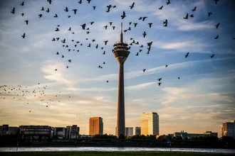 Fotokunst von Miro May: Wolken über dem Rhein in Düsseldorf am Morgen