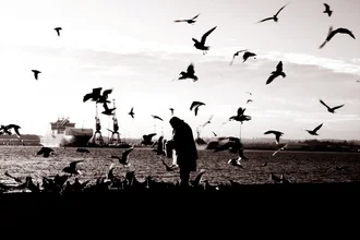 Photo art by Daniele Cascato: Alone at the harbor with seagulls at sundown.