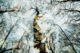 Rolf Bökemeier, autumn (Germany, Europe)