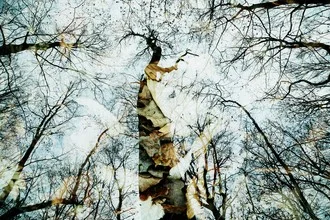 Photo art by Rolf Bökemeier: mysterious autumn forest scene with trees and leaves