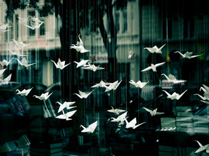 Anuschka Wenzlawski, Thoughts are free