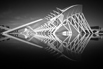 Oliver Buchmann, Museu de les Ciencies Príncipe Felipe (Spain, Europe)