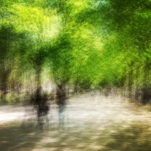 Photo art by Michael Meinhard: serene park in impressionism with green light.