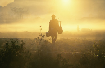 Martin Seeliger, In the Cauliflower Fields
