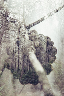 Nadja Jacke, pinewood - Formentera - forest - double exposure