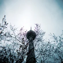 Fotokunst von Joachim Wagner: Blick auf den Fernsehturm, umgeben von Bäumen in Berlin.