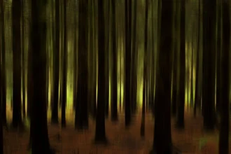 Abstrakte Fotokunst von Oliver Buchmann: farbenfrohe Waldszene im Herbstlicht