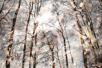Photo art by Rolf Bökemeier: autumn clearing with colorful leaves and gentle winds