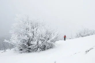 Beautiful winter forest in the Black Forest, snow covers the trees.