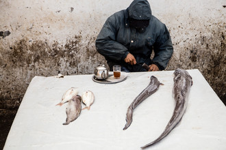 Steffen Rothammel, Fischmarkt Marokko
