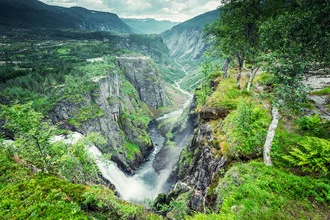 Fotografie von Franz Sussbauer: Vøringsfossen Wasserfall in Norwegen, umgeben von Birken.