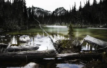 Photo art by Max Bellefleur: serene view of a frozen path in the Canadian Rockies