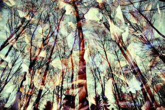 Photo art by Rolf Bökemeier: wood texture in the forest with soft autumn colors
