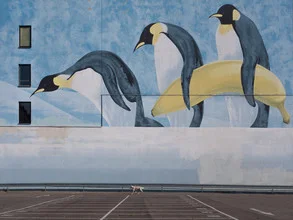 Photo art by Klaus Lenzen: urban wildlife featuring a dog and a penguin