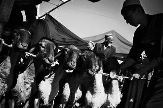 Farbenfrohes Marktleben in Kashgar, China: Menschen und Ziegen im geschäftigen Treiben.