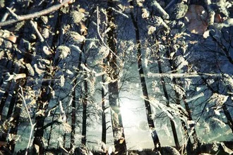 Photo art by Rolf Bökemeier: sunset in the woods with branches and soft colors